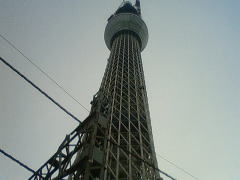 20100105skytree01